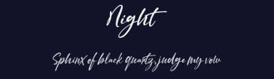 Night by vilogsign — Serif Font — thumbnail 2