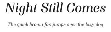 Night Still Comes by Ana — Serif Font — thumbnail 1