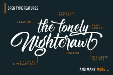 Nightfall Font by figuree studio — Script Handwritten Font — thumbnail 3
