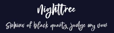 Nighttree by Ronny Studio — Script Handwritten Font — thumbnail 2