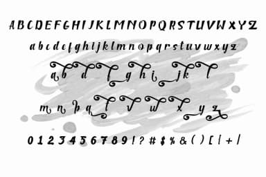 Niken Font by Haksen — Script Handwritten Font — thumbnail 6