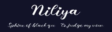 Niliya by AEN Creative Studio — Script Handwritten Font — thumbnail 2