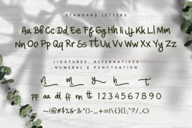 Nina Ninut Font by peterdraw — Script Handwritten Font — thumbnail 7