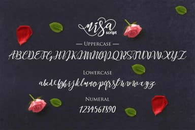 Nisa Font by No Gravity Type — Script Handwritten Font — thumbnail 6