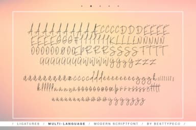 No Limits Font by BennyDesigns — Script Handwritten Font — thumbnail 3