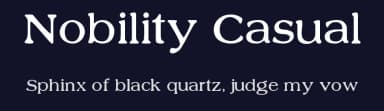 Nobility Casual by Digital Graphic Labs — Serif Font — thumbnail 2