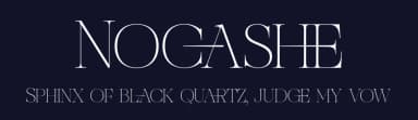 Nocashe by Storytype Studio — Serif Font — thumbnail 2