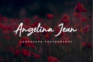 Nocturnal Script Font by MLKWSN studio — Script Handwritten Font — thumbnail 2