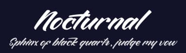 Nocturnal by Display Studio — Script Handwritten Font — thumbnail 2