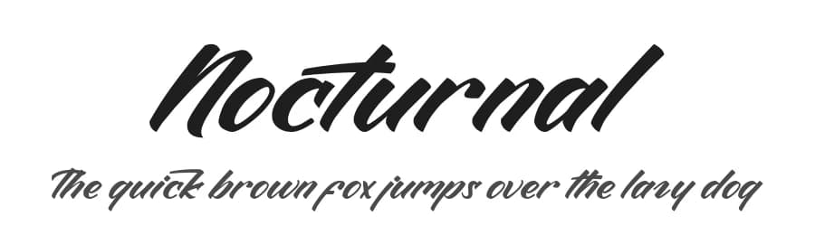 Nocturnal by Display Studio — Script Handwritten Font — preview 1