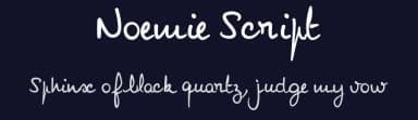 Noemie Script by SvNProd — Script Handwritten Font — thumbnail 2
