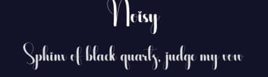 Noisy by Scratchones — Script Handwritten Font — thumbnail 2