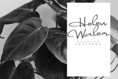 Nolet Font by Katie Holland — Script Handwritten Font — thumbnail 3