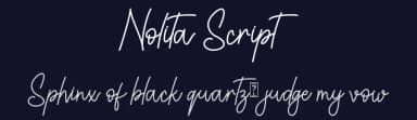 Nolita Script by Alif Ryan Zulfikar — Script Handwritten Font — thumbnail 2