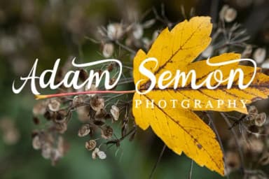 Noorlita Font by MJB Letters — Script Handwritten Font — thumbnail 6