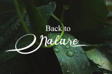 Noorlita Font by MJB Letters — Script Handwritten Font — thumbnail 8