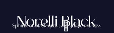 Norelli Black by VPcreativeshop — Serif Font — thumbnail 2