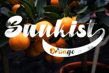 North Blue Font by aldedesign — Script Handwritten Font — thumbnail 5