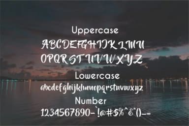 North Landon Script Font by Lettercorner Studio — Script Handwritten Font — thumbnail 7