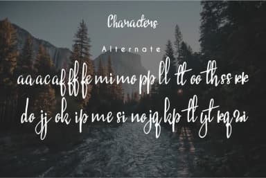 North Valley Font by beautysophia — Script Handwritten Font — thumbnail 4