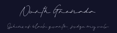 North Grenada by Typotopia Studio — Script Handwritten Font — thumbnail 2