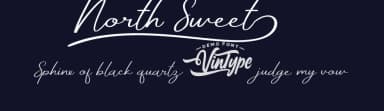 North Sweet by VinType — Script Handwritten Font — thumbnail 2