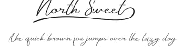 North Sweet by VinType — Script Handwritten Font — thumbnail 1