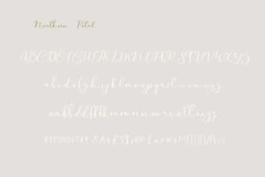 Northern Petal Font by Primafox Design — Script Handwritten Font — thumbnail 2