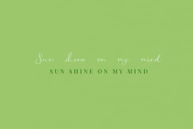 Northern Petal Font by Primafox Design — Script Handwritten Font — thumbnail 8