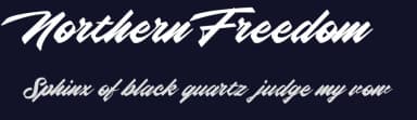 Northern Freedom by Senzana — Script Handwritten Font — thumbnail 2