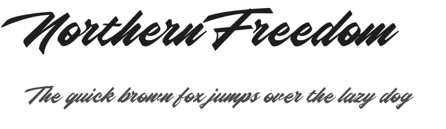 Northern Freedom by Senzana — Script Handwritten Font