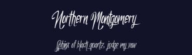 Northern Montgomery by Xerographer Fonts — Script Handwritten Font — thumbnail 2