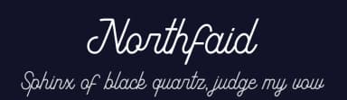 Northfaid by Delaga Studio — Script Handwritten Font — thumbnail 2