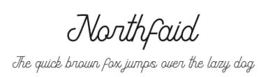 Northfaid by Delaga Studio — Script Handwritten Font — thumbnail 1