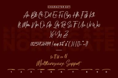 Northgate Font by StringLabs — Script Handwritten Font — thumbnail 6