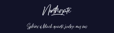 Northgate by StringLabs Creative Studio — Script Handwritten Font — thumbnail 2
