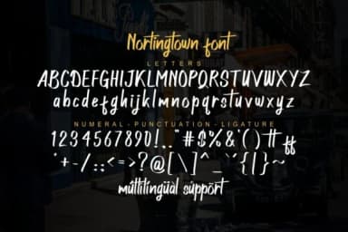 Northingtown Font by Damarletter — Script Handwritten Font — thumbnail 9