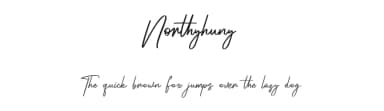 Northyhuny by Maulana Creative — Script Handwritten Font — thumbnail 1