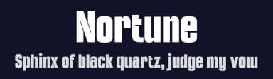 Nortune by Ardyana Types — Sans Serif Font — thumbnail 2