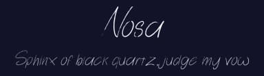 Nosa by Attype Studio — Script Handwritten Font — thumbnail 2