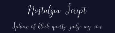 Nostalgia Script by Font Bundles — Script Handwritten Font — thumbnail 2