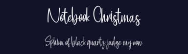 Notebook Christmas by Goodrichees — Script Handwritten Font — thumbnail 2