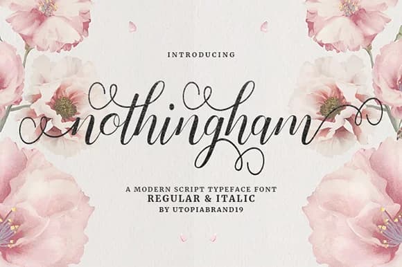 Nothingham Script Font by utopiabrand19 — Script Handwritten Font