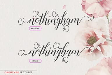 Nothingham Script Font by utopiabrand19 — Script Handwritten Font — thumbnail 7