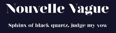 Nouvelle Vague by Dirk Schuster — Serif Font — thumbnail 2