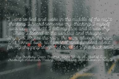 November Rain Font by NREY — Script Handwritten Font — thumbnail 5