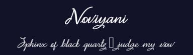 Noviyani by Makashi — Script Handwritten Font — thumbnail 2