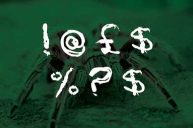 Now Spiders Font by GraphicsBam Fonts — Script Handwritten Font — thumbnail 2