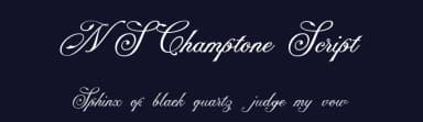 NS Champtone Script by Novi Ananda — Script Handwritten Font — thumbnail 2