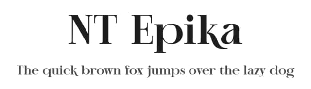 NT Epika by Artem Nevsky — Serif Font